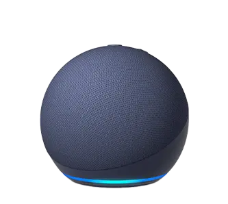 Amazon Echo Dot 