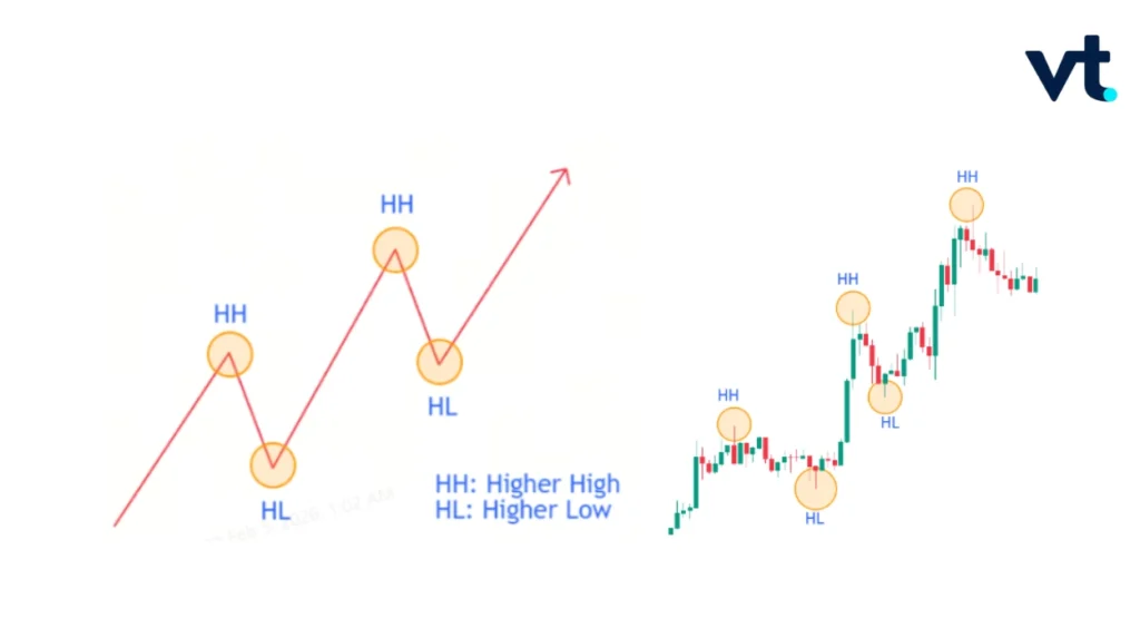 discover article - VT Markets
